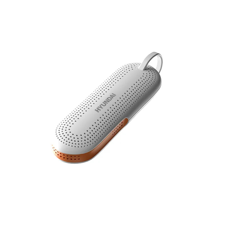 Portable Electric Shoes Dryer for Deodorizing and Sterilizing Timer Heater Eliminate Odor UV Shoes Drying Household Appliances